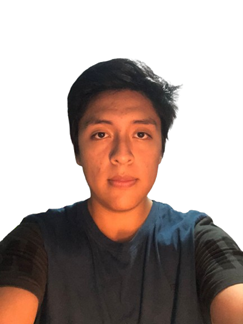 Un Mauricio más, Developer
